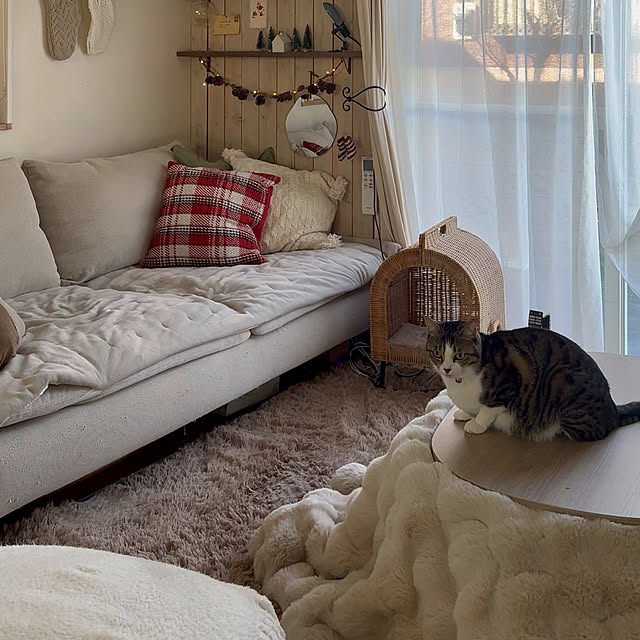 kokkomachaさんの部屋