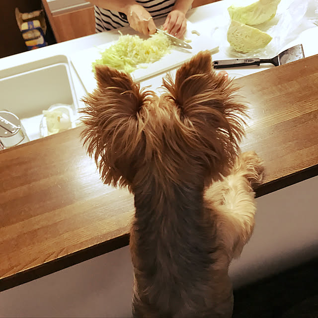 Chipchipさんの実例写真