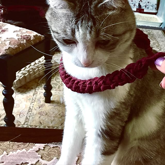 emmyyさんの実例写真