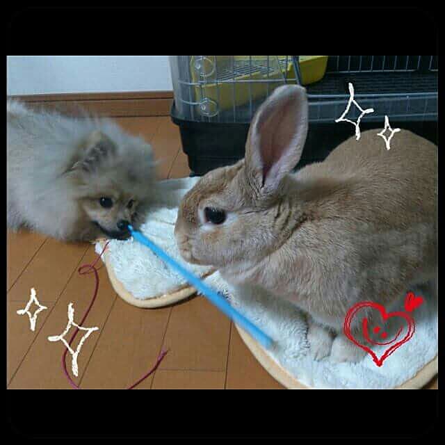 Lilyさんの実例写真