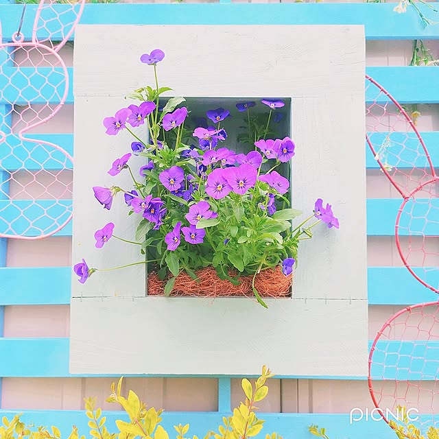 Miyumamaさんの実例写真
