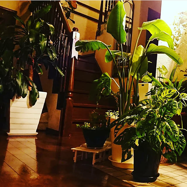 Erinaさんの実例写真