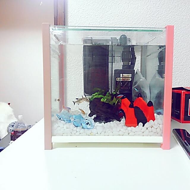 makitatugumi1さんの実例写真