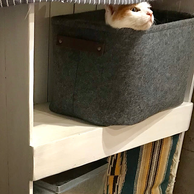 ziziguguさんの実例写真