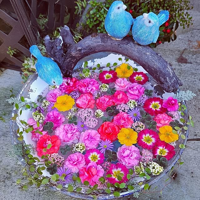 mocomocoさんの部屋