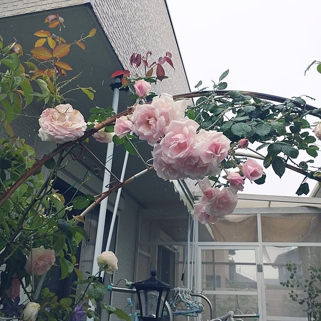 Bienvenueさんの部屋