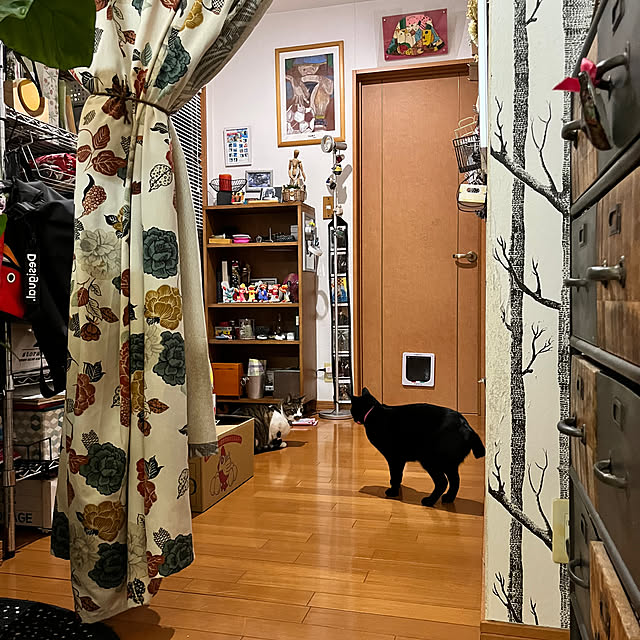 jijiさんの実例写真