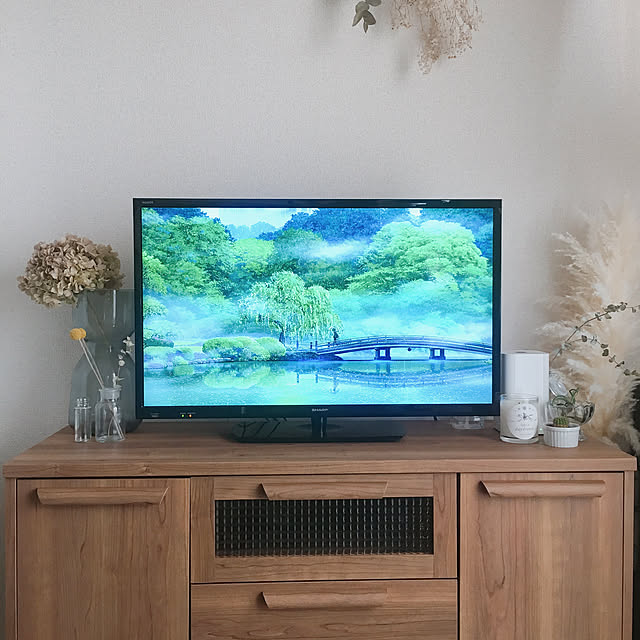 東京インテリアのテレビボードのおすすめ商品とおしゃれな実例 東京インテリアのテレビボードのおすすめ商品とおしゃれな実例
