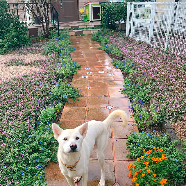 meさんの実例写真
