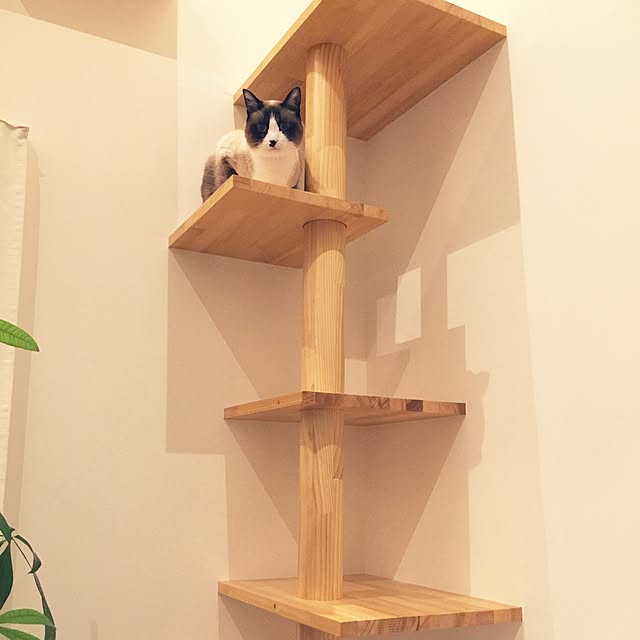samisoさんの実例写真
