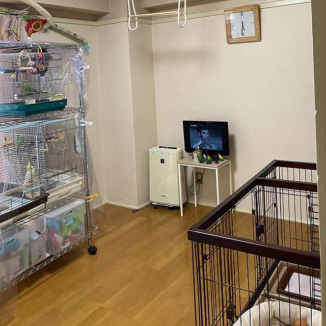 toratanさんの実例写真
