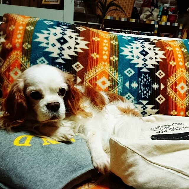 yukaさんの実例写真