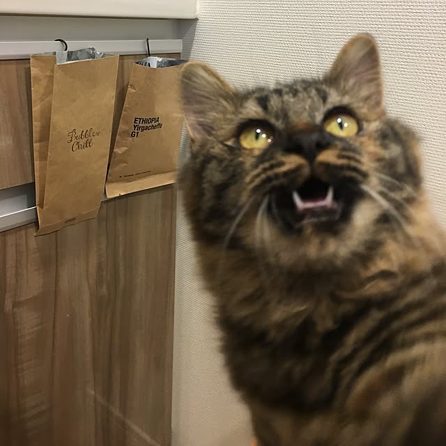 mikomaruさんの実例写真