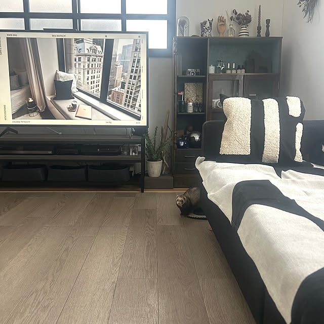 kitoneさんの部屋