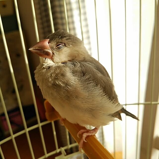 miiさんの実例写真