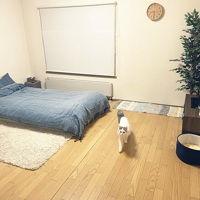 miwaさんの実例写真