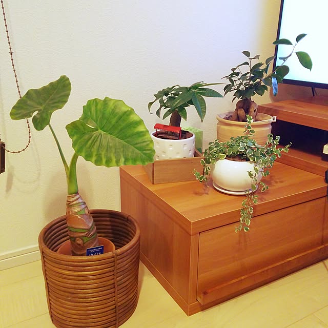 toiさんの実例写真