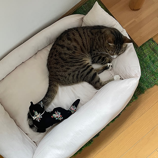 nobikoさんの部屋
