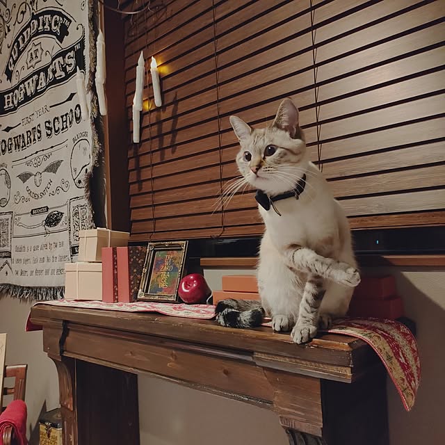 Atelier_tamakiさんの部屋