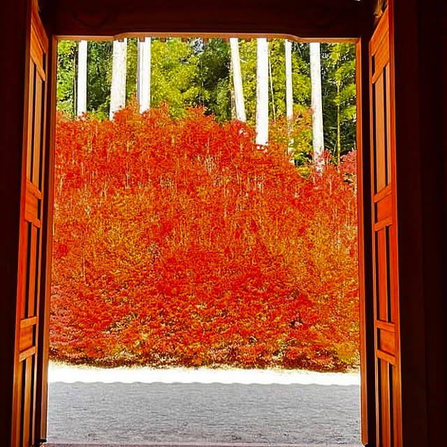 okyame-chanさんの部屋