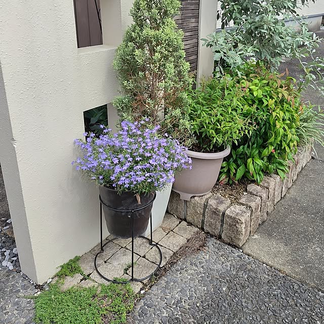 mutsuさんの部屋