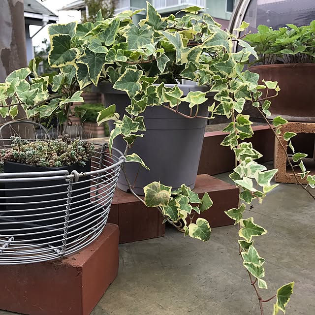 kokko3さんの実例写真