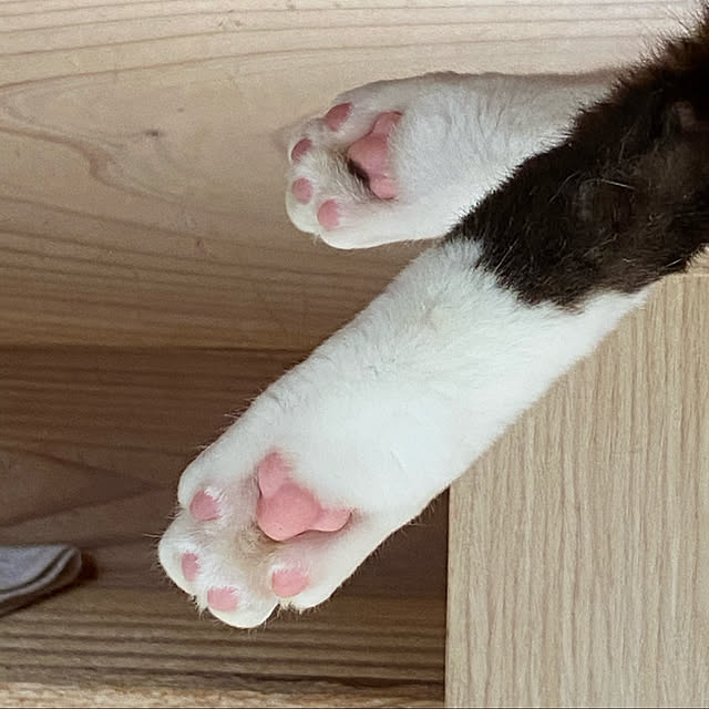 mignonさんの実例写真