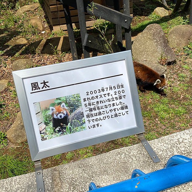 ohanaさんの部屋
