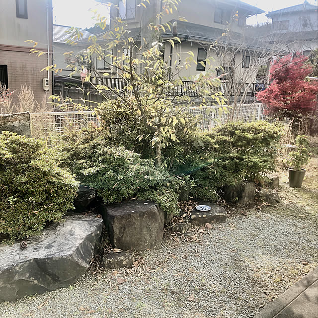 miさんの実例写真