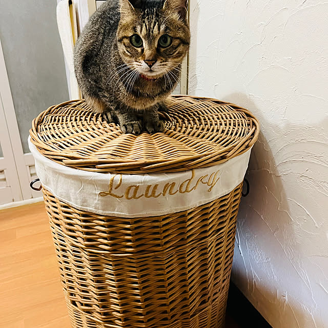 heidiさんの実例写真