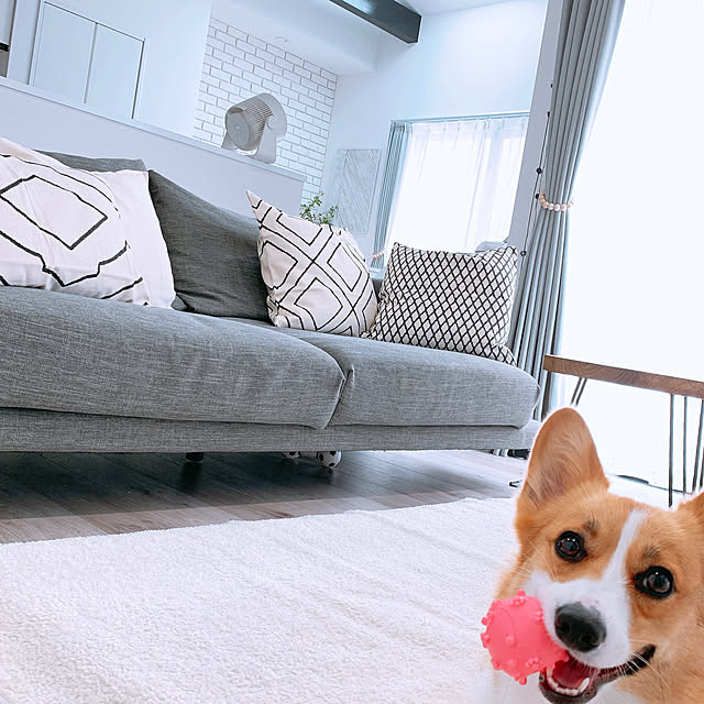 3ayuさんの実例写真