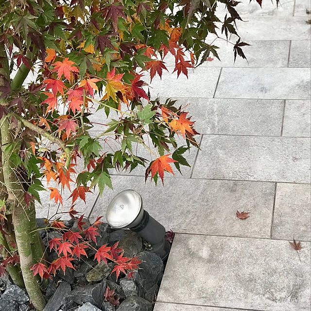marocoさんの実例写真