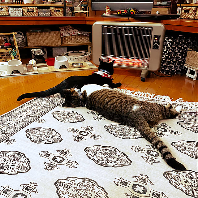 jijiさんの実例写真
