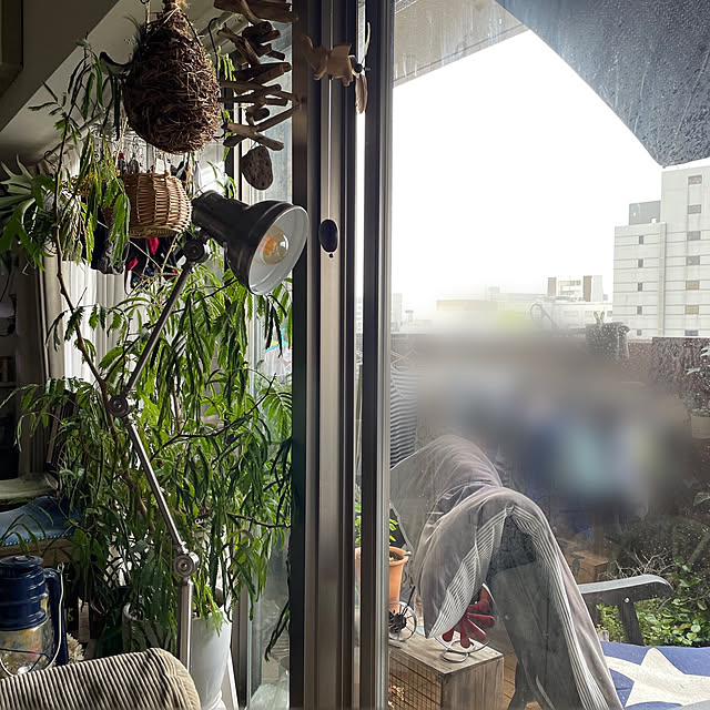 goushi1214さんの実例写真