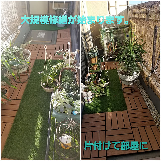 takoさんの実例写真