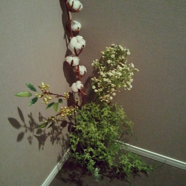 mASaYoukiさんの実例写真