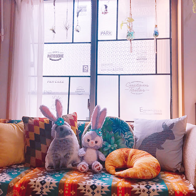 portulacaさんの実例写真