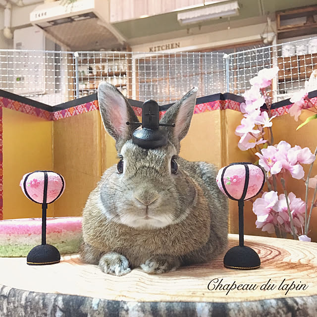 mashiさんの実例写真
