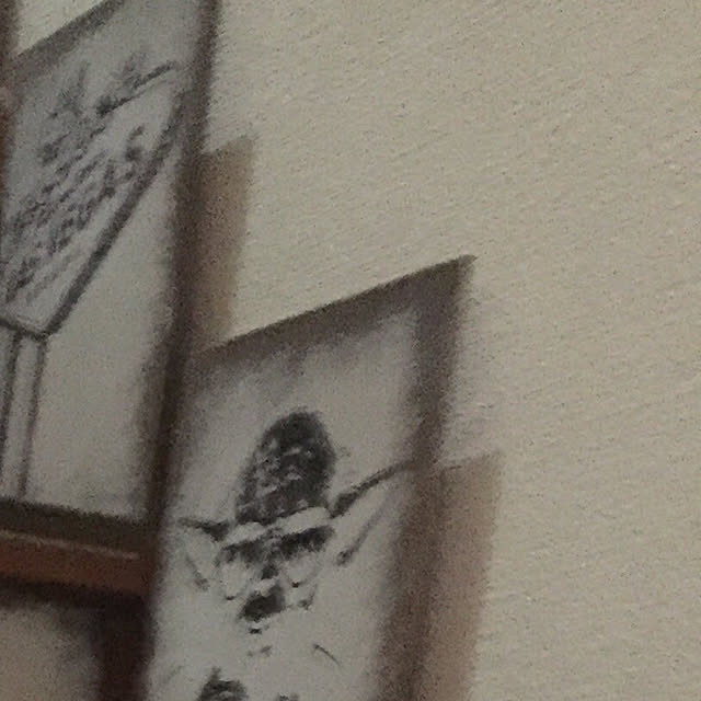 aqunosさんの実例写真