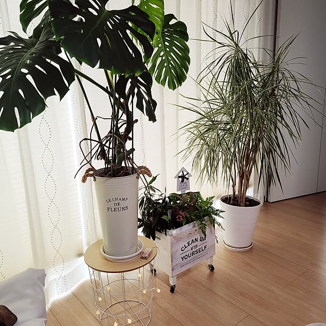 RepoSさんの部屋