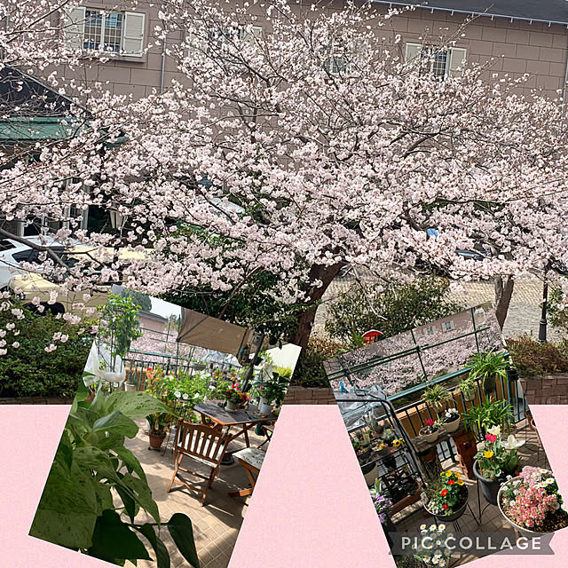 Aqettyさんの実例写真