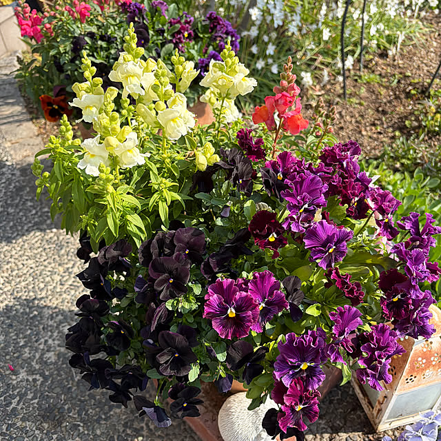 ritsukoさんの実例写真