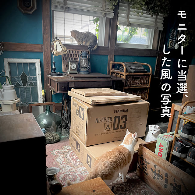 marusanさんの実例写真