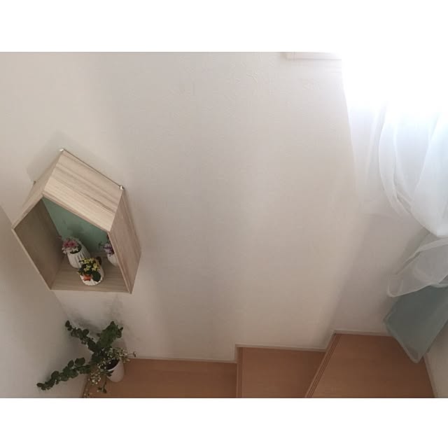 Saraさんの実例写真