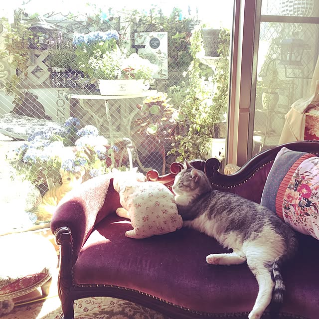 emmyyさんの実例写真