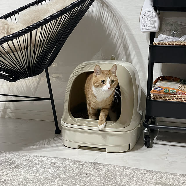 maimaiさんの部屋