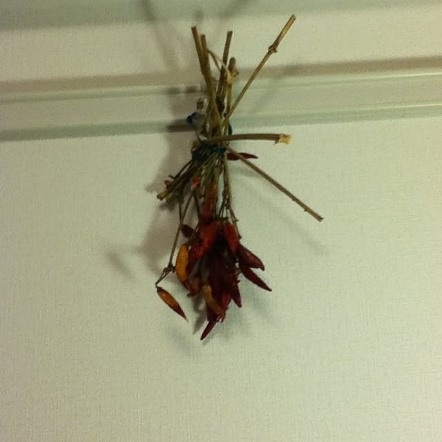 pepperさんの実例写真