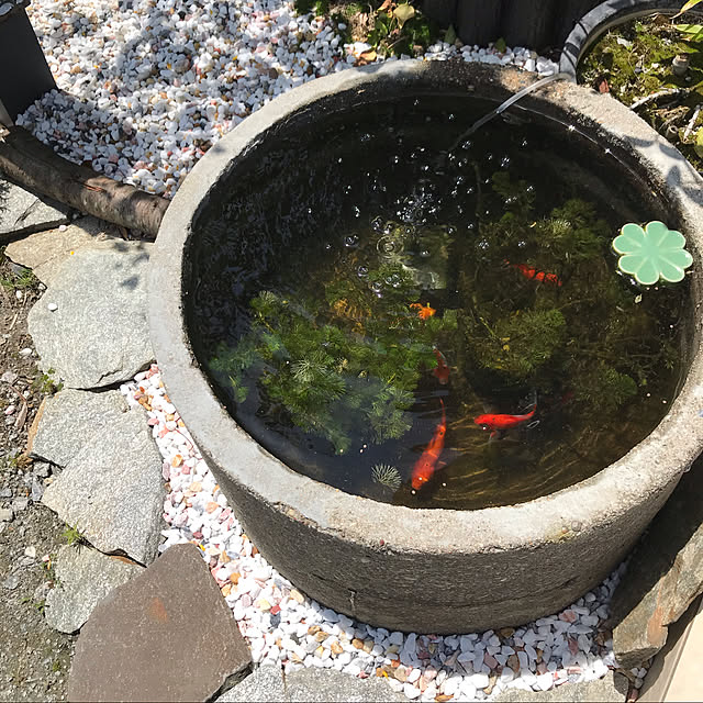 okadajapanさんの実例写真