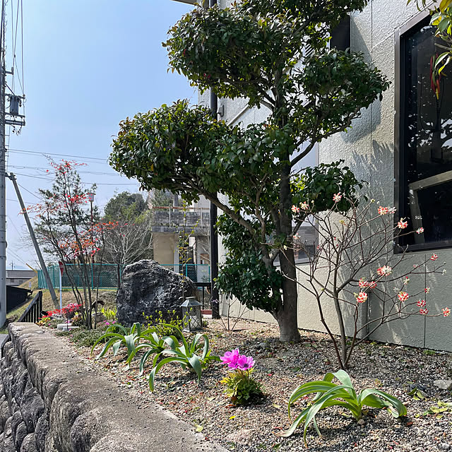 shin0719さんの部屋