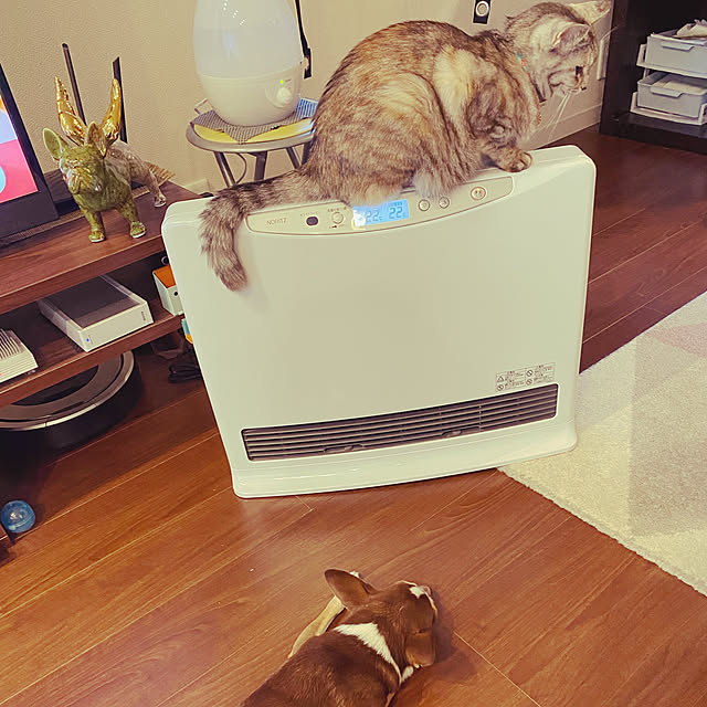 maroさんの実例写真